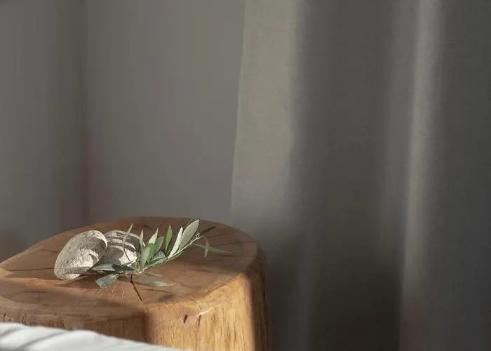 Mykonos Essence Adults Only 酒店 4*